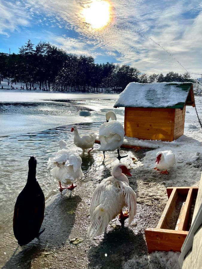 Lux Apartmani Vojinovic Zlatibor Exteriör bild